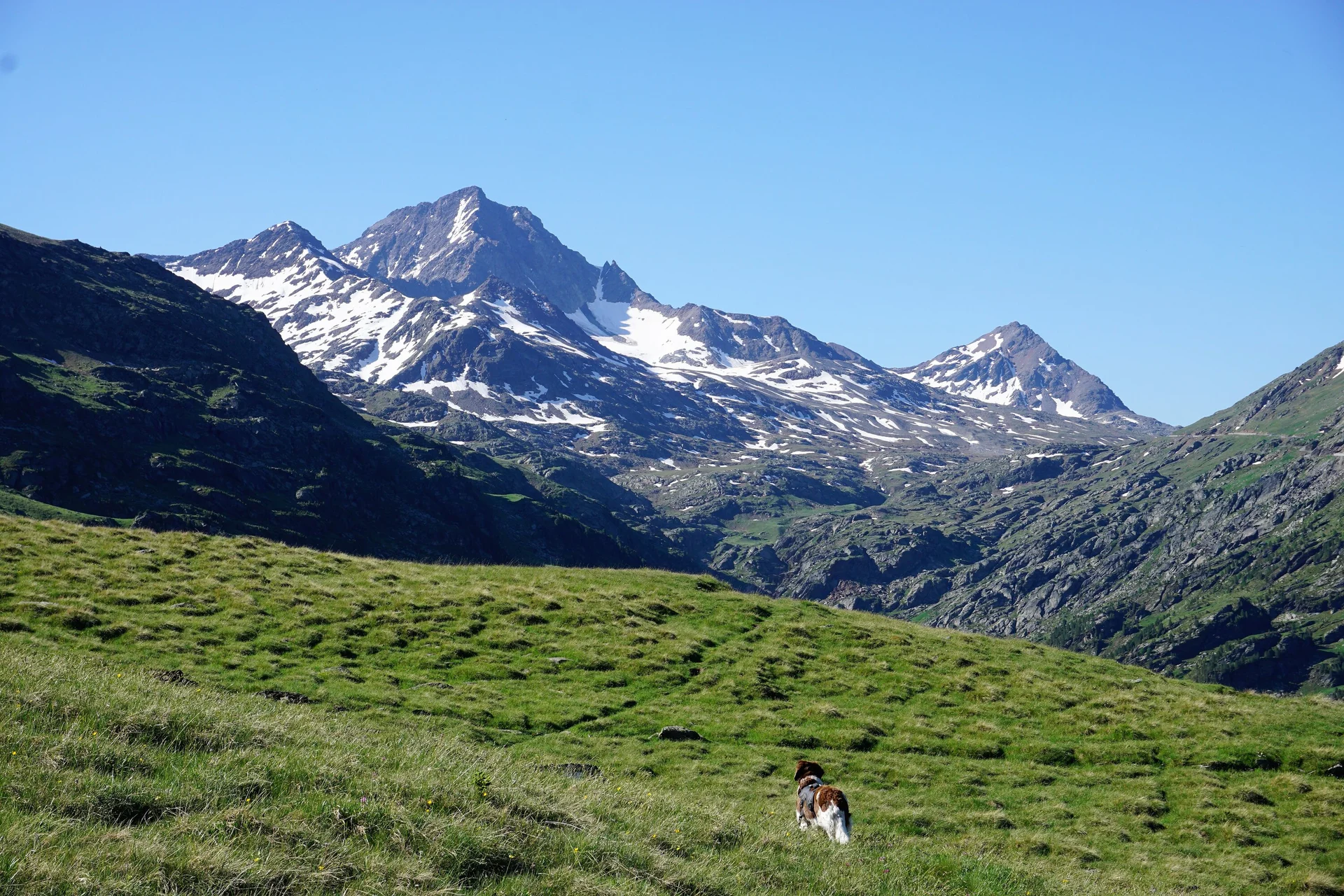 © https://www.alpenverein.de/author/romy-robst
