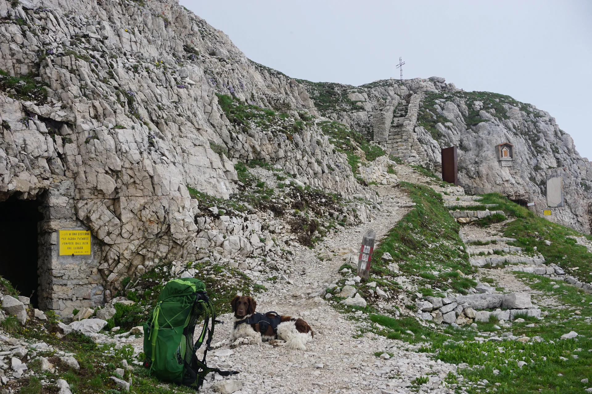 © https://www.alpenverein.de/author/romy-robst