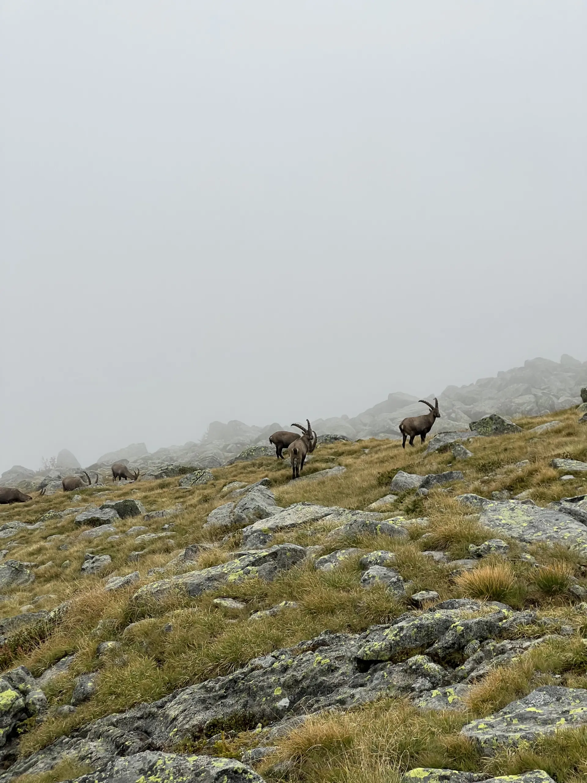 © Verena Pfefferkorn