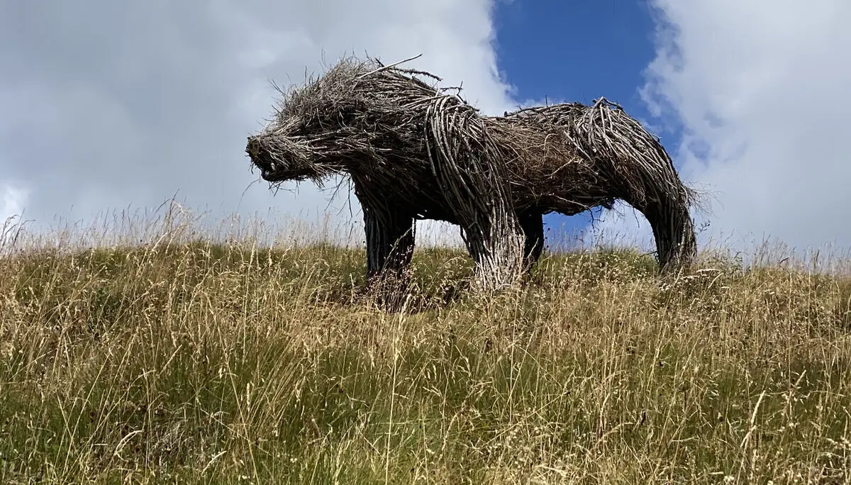 © Verena Pfefferkorn