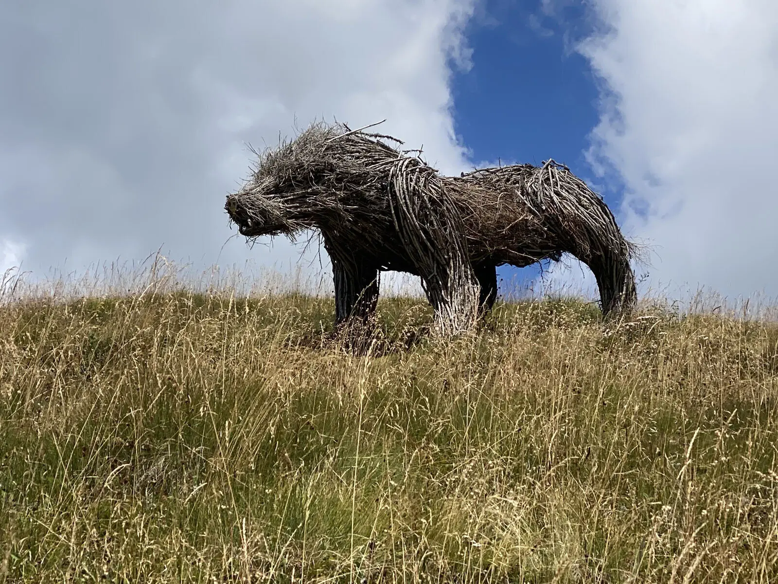 © Verena Pfefferkorn