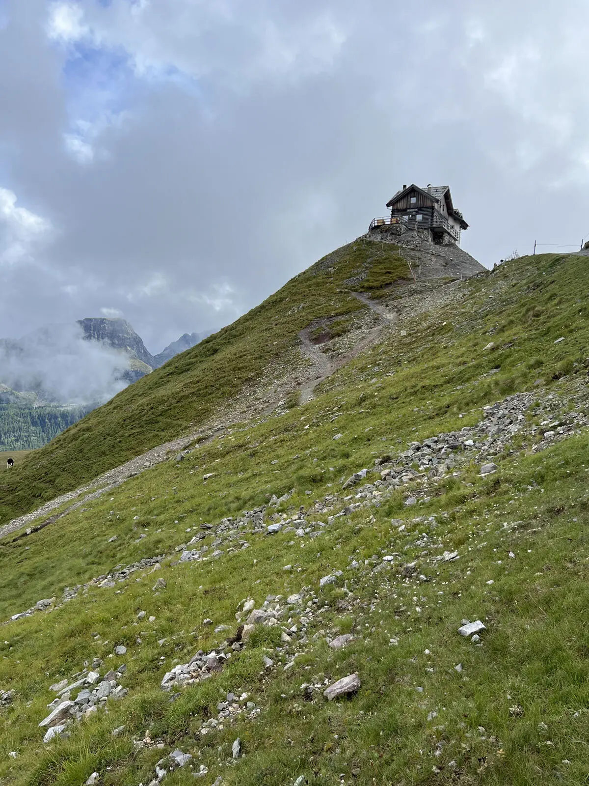 © Verena Pfefferkorn