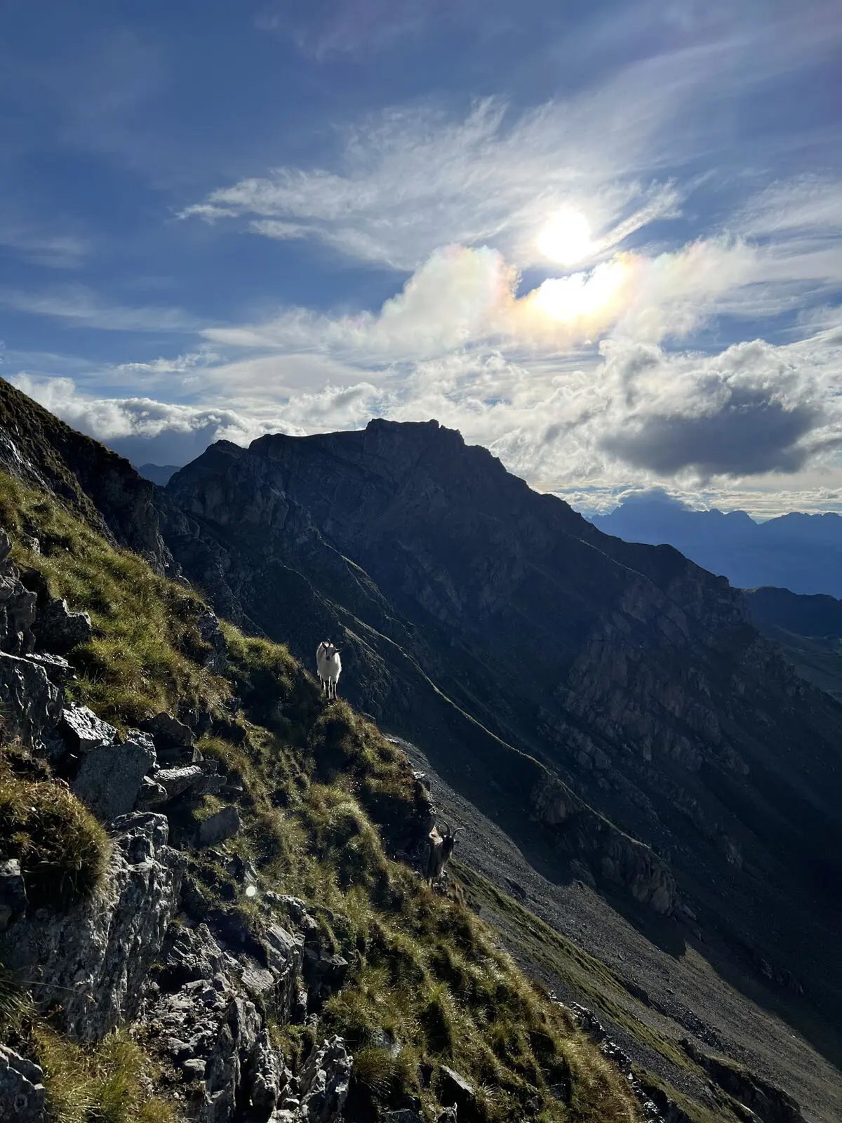 © Verena Pfefferkorn