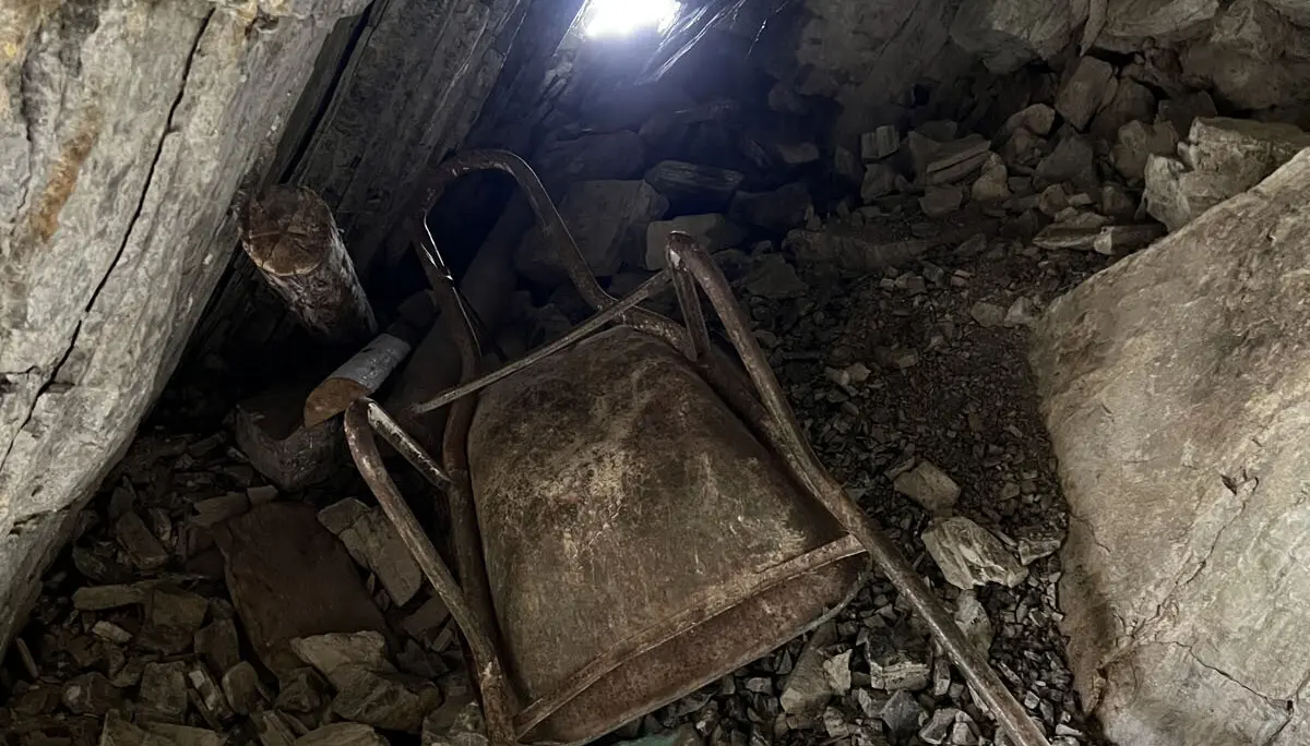 © Verena Pfefferkorn