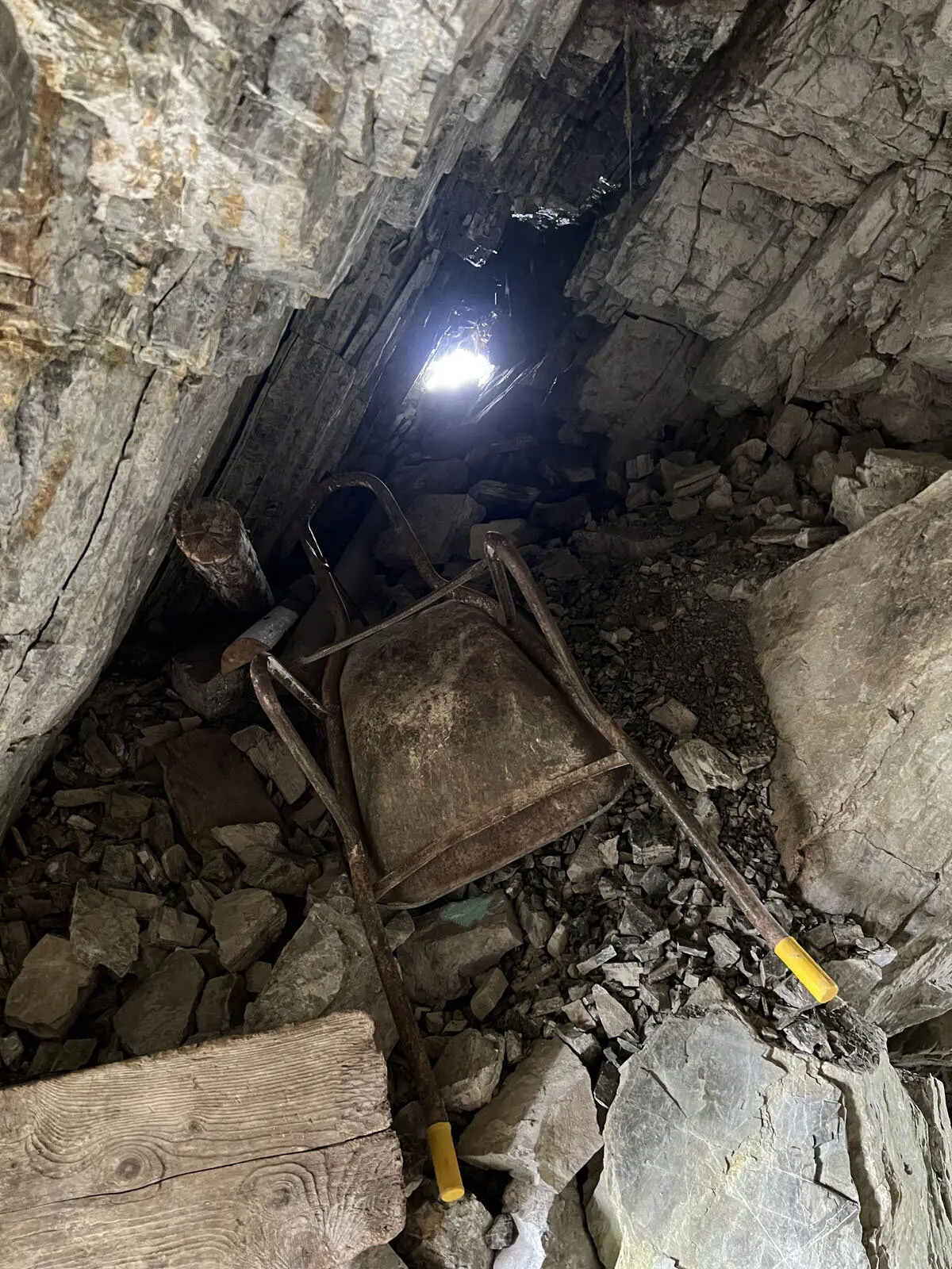 © Verena Pfefferkorn