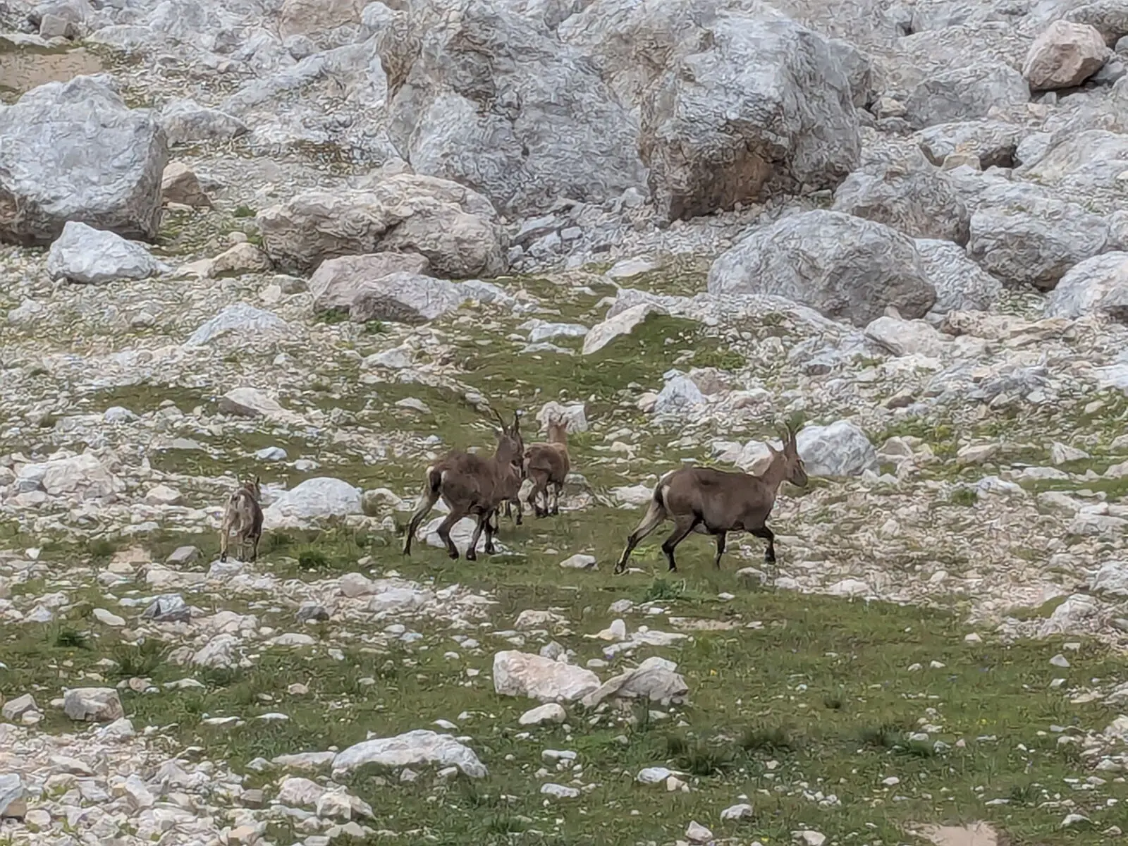 © Verena Pfefferkorn