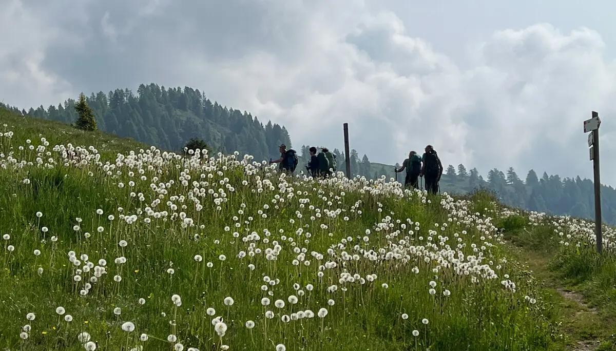 © Alexander Maier (DAV Passau)