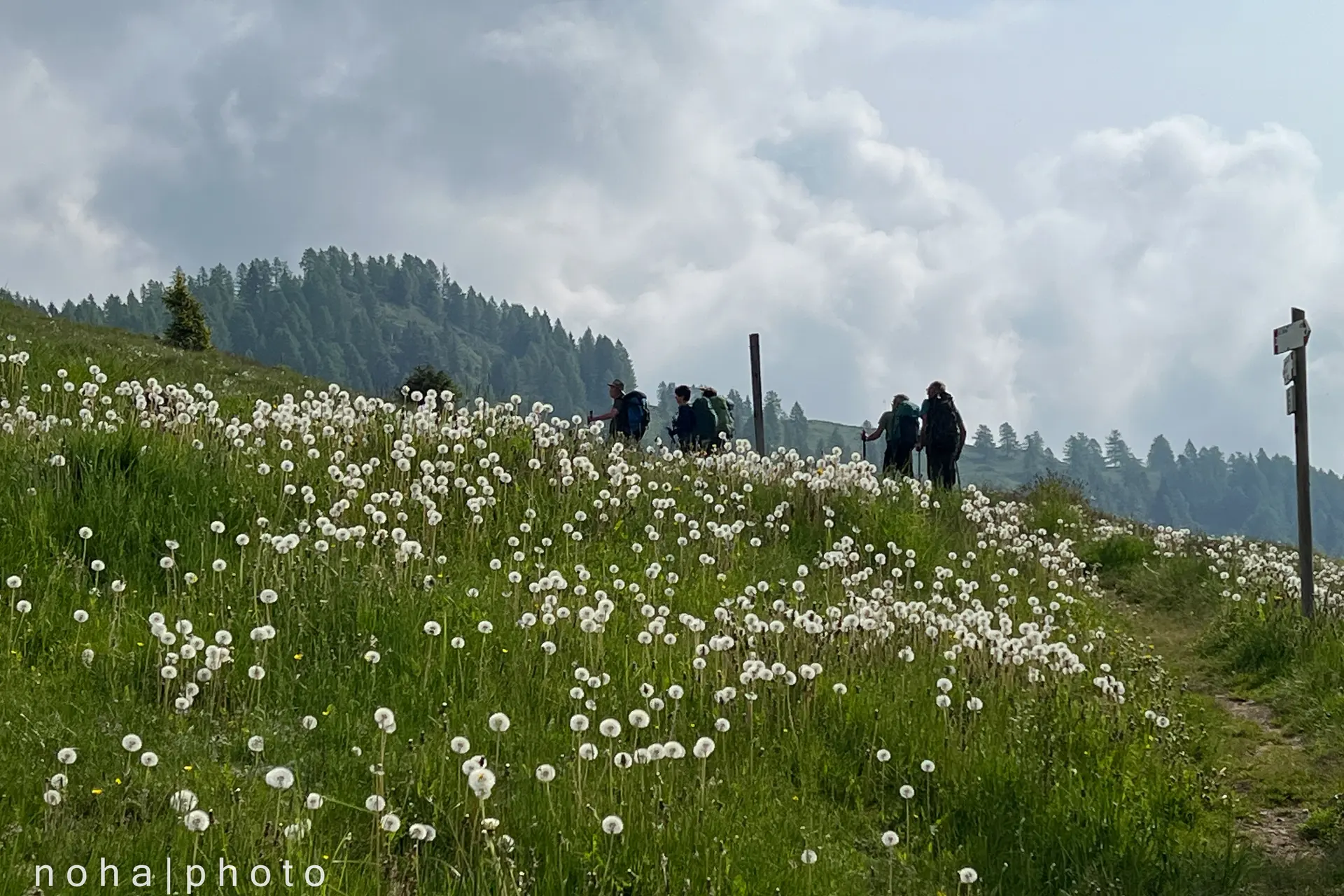 © Alexander Maier (DAV Passau)