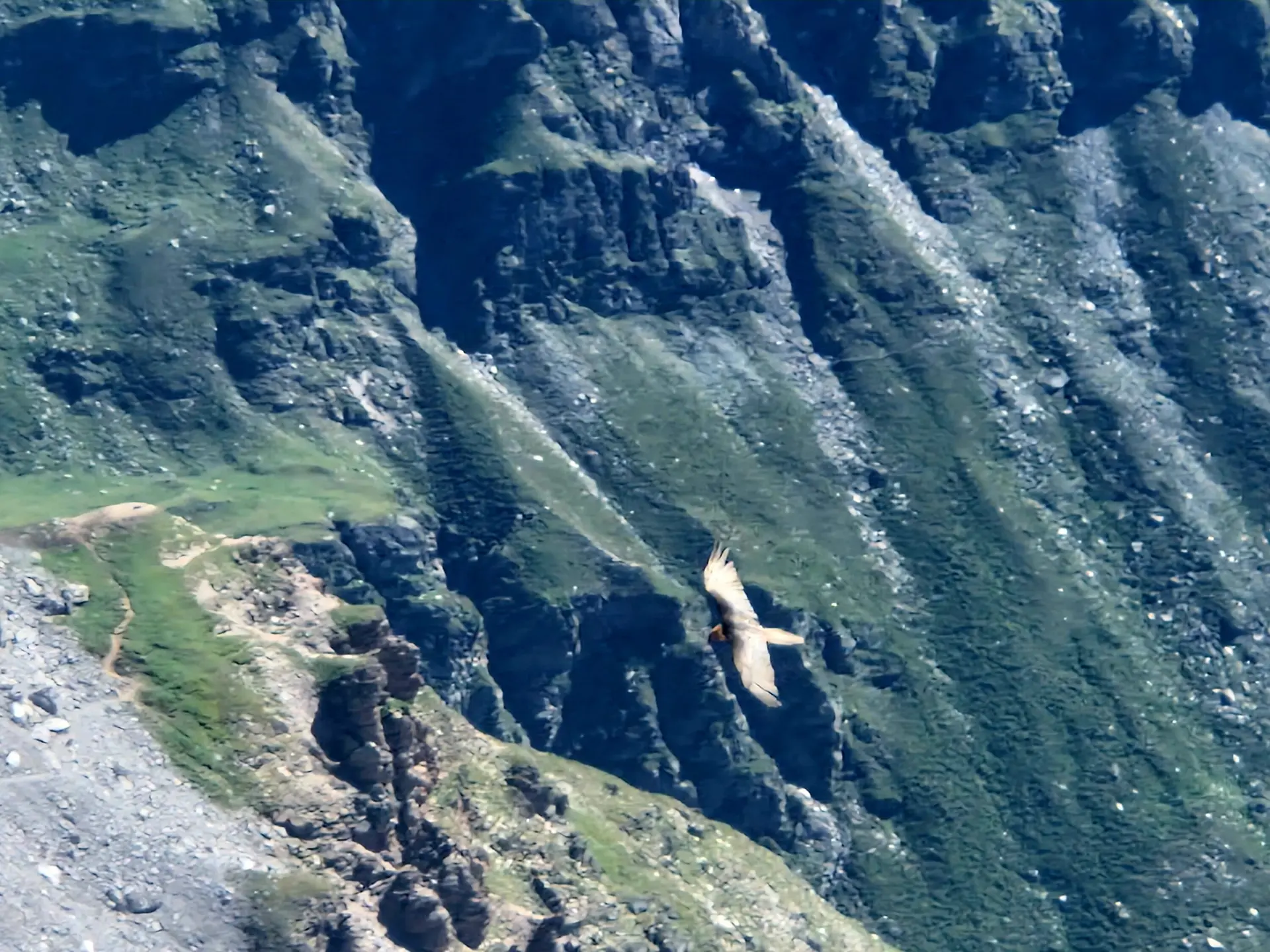 © Franz Hamedinger (AV Schärding)