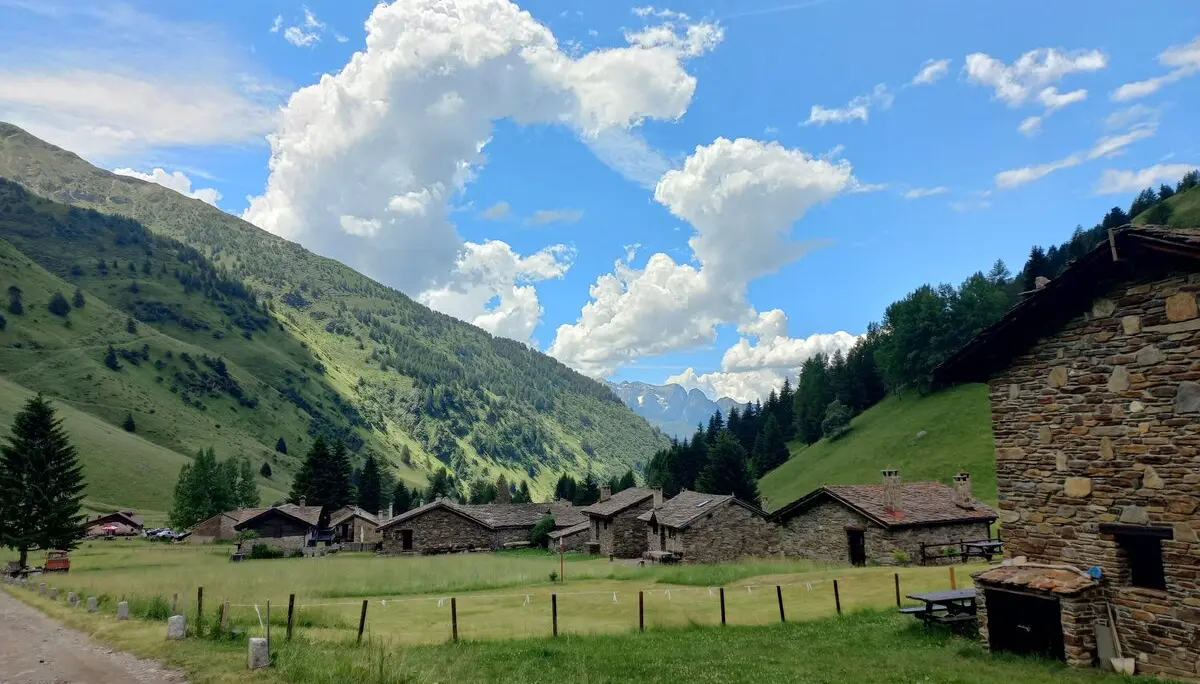 © Franz Hamedinger (AV Schärding)