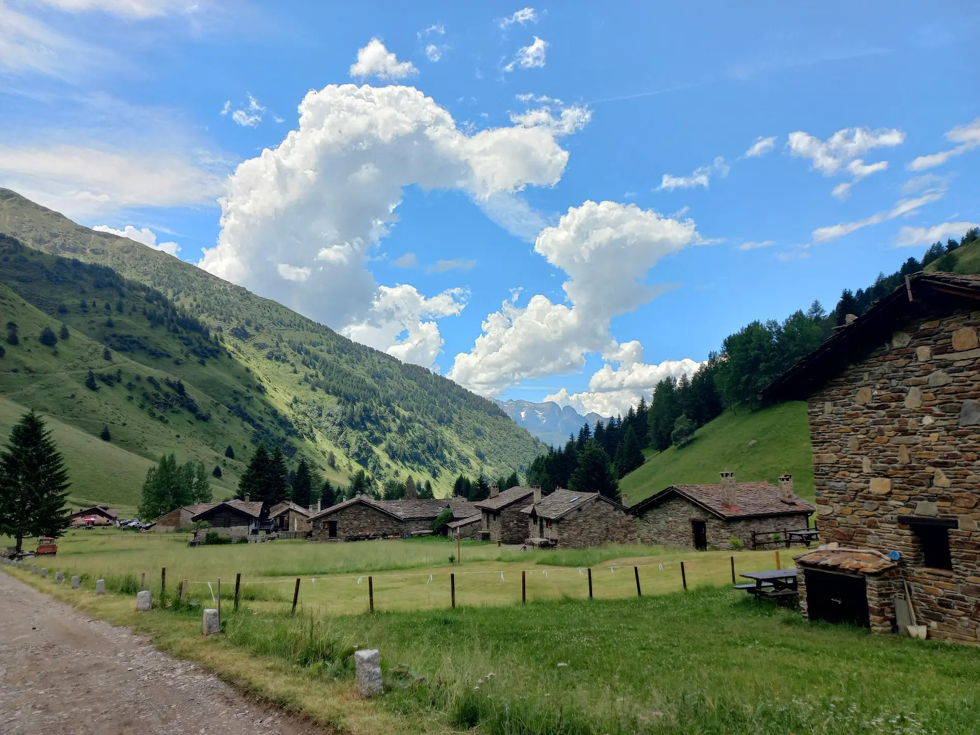 © Franz Hamedinger (AV Schärding)