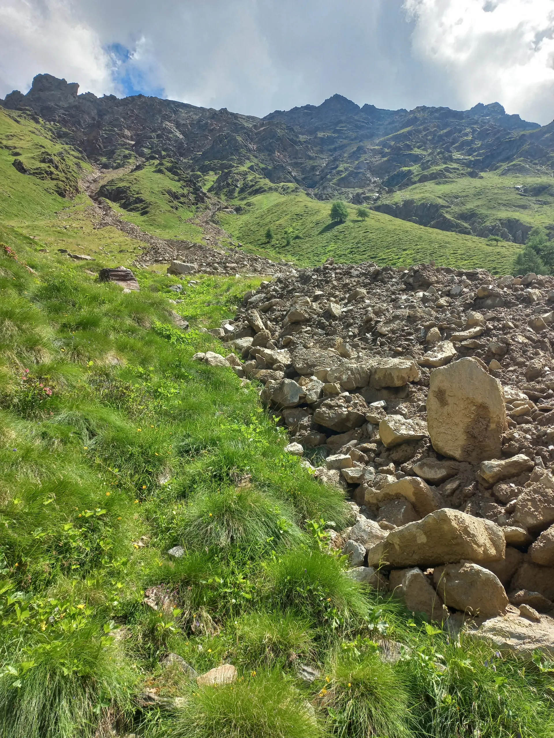 © Franz Hamedinger (AV Schärding)