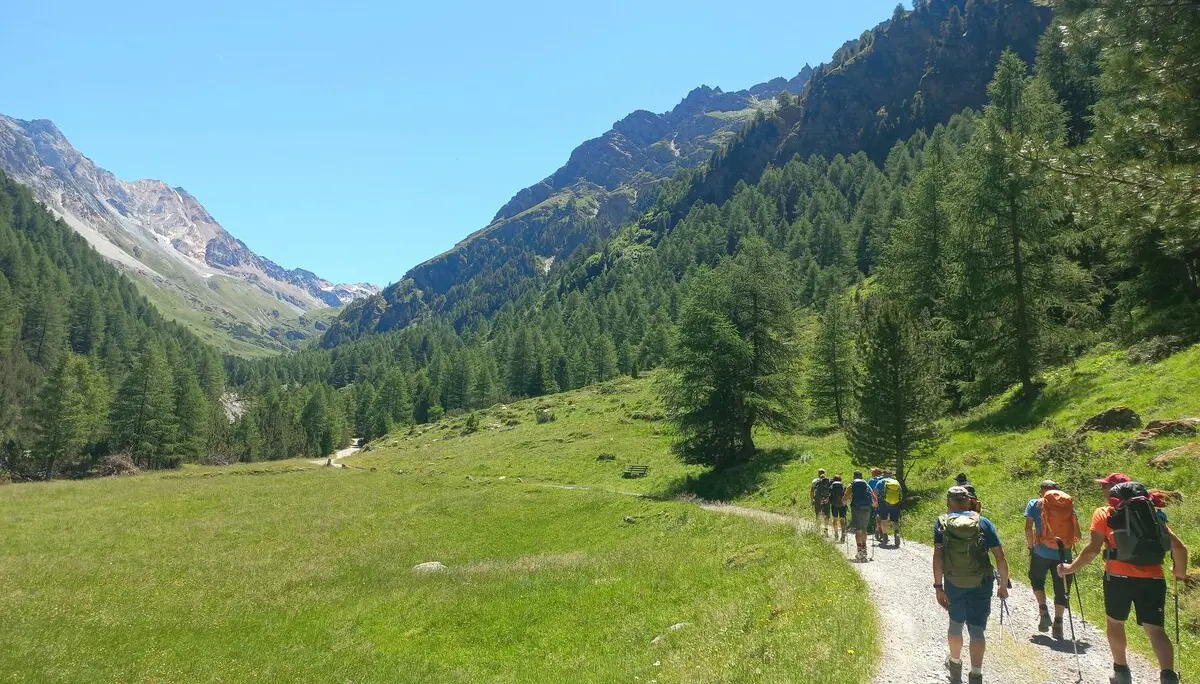 © Franz Hamedinger (AV Schärding)