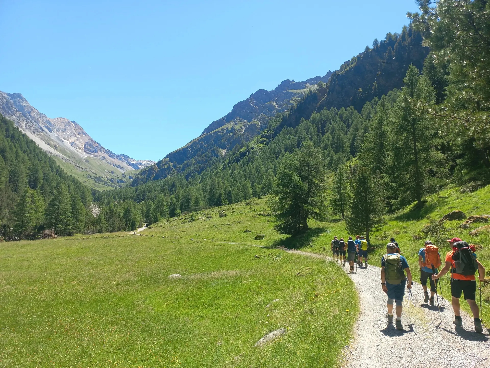 © Franz Hamedinger (AV Schärding)