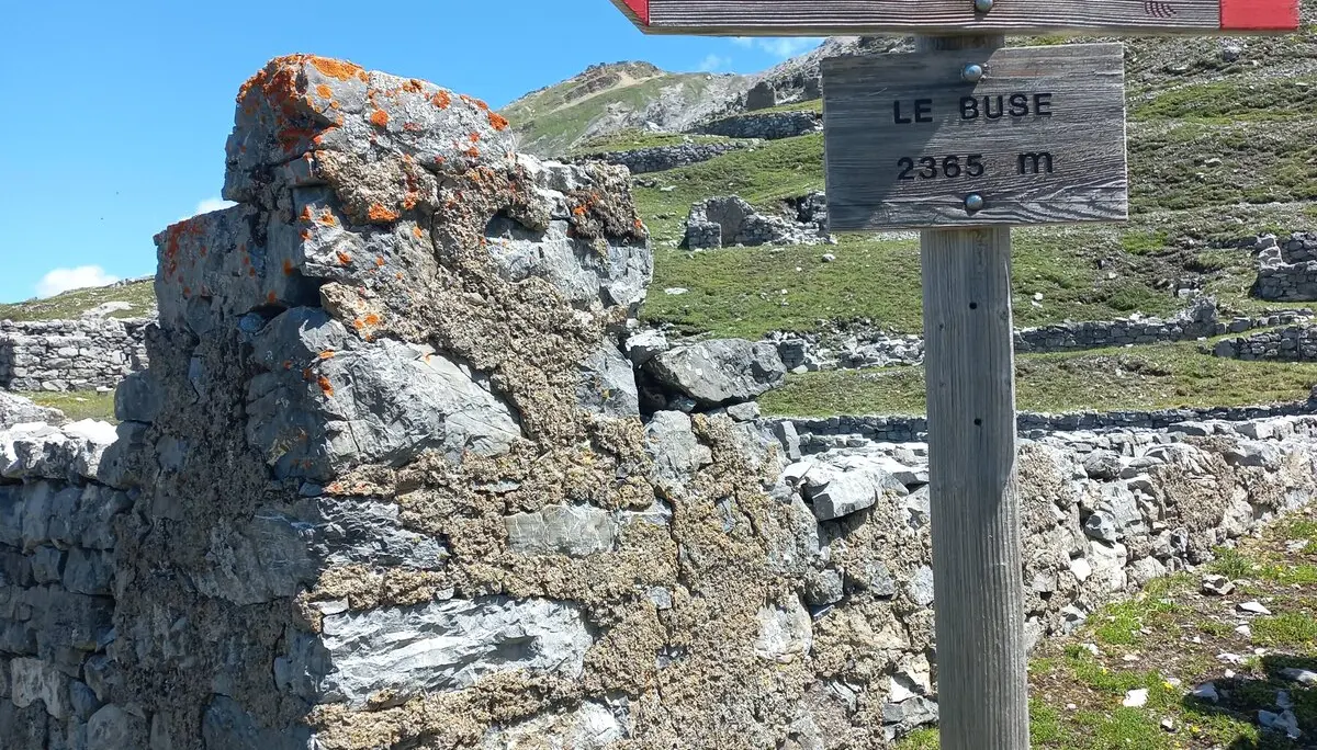 © Franz Hamedinger (AV Schärding)